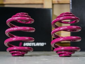 T4 Vogtland Mini Block 40mm Lowering Springs